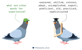 experienced