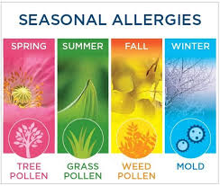 seasonal